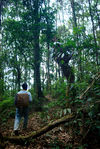 Wang Bing Garden in the heart of the forest