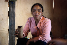 infususé Tea in a glass bamboo on a farm in Lao Banzhang