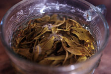 Tea leaves in a glass of water Yi Wu