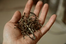 Des puerh <span class='translation'>(Pu Er tea)</span> brut d'apparence similaire mais de qualité bien différentes