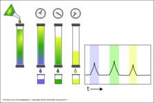 Principe d'une chromatographie