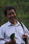 Producteur de puerh <span class='translation'>(Pu Er tea)</span> à Bang Xie