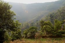 Paysage de Mengku