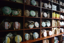 Multitude of young puerh <span class='translation'>(Pu Er tea)</span> shop in Yunnan