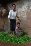 Family of tea producers in Shahe BanXie