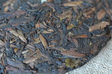 Bourgeon de théires sauvage dans une galette de puerh