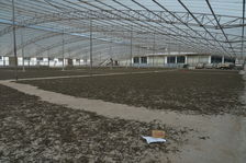 Drying of different gardens to plant Rong Shi