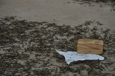 Drying of different gardens to plant Rong Shi