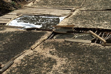 leaves drying in the sun in a recullé Da Xue Shan village