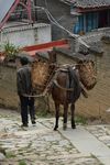 On the road to Da Xue Shan tea to XiaGuan