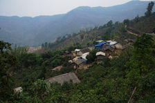 House in the heart of ancient tea trees in Wa ZiZhai