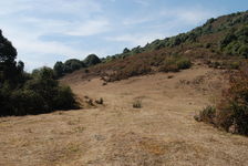 Sur le long chemin qui relie Bing Dao à Mengtuo