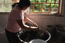 Pressing artisan cakes in Wang Bing