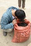 Wang Bing in search of violet leaves in a small farmers Yi Wu