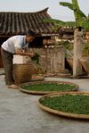 Work sheets in Wang Bing