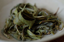 Leaves puerh <span class='translation'>(Pu Er tea)</span> premiere infused