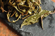 Leaves puerh <span class='translation'>(Pu Er tea)</span> infused