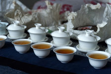 Comparison of different puerh