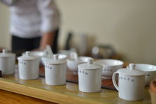 comprataive tasting teas puerh