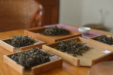 Comparison of different leaves puerh <span class='translation'>(Pu Er tea)</span> tea