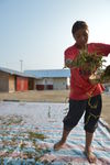 Travail soigné des feuilles au Laos