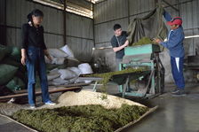 industrial work sheets in a factory Phongsaly