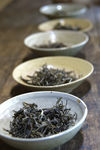 Tasting of 5 maocha in parallel