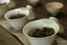 Tasting of 5 maocha in parallel