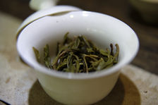 Tasting of 5 maocha in parallel