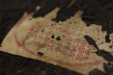 Nei Fei of an ancient puerh <span class='translation'>(Pu Er tea)</span> Wu Yi