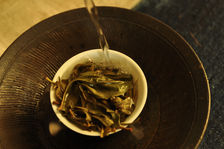 Puerh old tea bushes in a Gaiwan