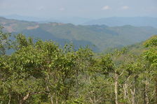 Jardin ancien à Phongsaly Laos