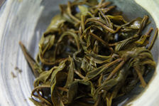 Feuilles infusées d un jeune puerh