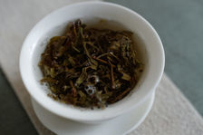 Dégustation d'un jeune puerh <span class='translation'>(Pu Er tea)</span> brut