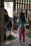 Atelier de transformation des feuilles en Thailande