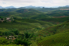 Paysage de Tai Di à perte d'horizon à Dadugang