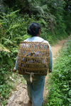  Young woman on the way of tea (Wu Yi)