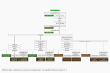 Les différentes étapes de transformations de l'arbre à la galette