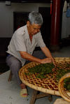 Pétrissage artisanal des feuilles de puerh <span class='translation'>(Pu Er tea)</span> dans une ferme de Yi Wu