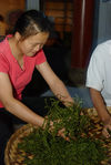  Kneading craft sheets puerh <span class='translation'>(Pu Er tea)</span> a farm of Wu Yi