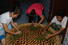 Pétrissage artisanal des feuilles de puerh <span class='translation'>(Pu Er tea)</span> dans une ferme de Yi Wu