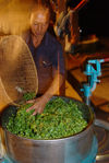 Machine à Rou Cha en fonctionnement à BingDao, Mengku