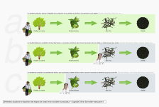  Different situations and stages of distribution of work between grower and producer