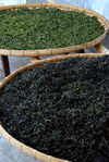  Leaves in the beginning (green) and end (black) drying YiWu