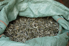 Mao Cha dans en sac pret à être vendu (Mengku, Lincang)