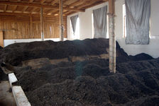  Fermentation of puerh <span class='translation'>(Pu Er tea)</span> (stack puerh) in Pu'er