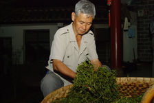 Roulage des feuilles à la maison dans une ferme de YiWu