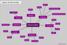  The class of flavonoids