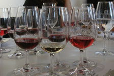 Red wine as an explanation for the French paradox?