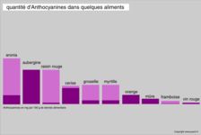 Quantité d'Anthocyanines dans quelques aliments couramment consommés en occident